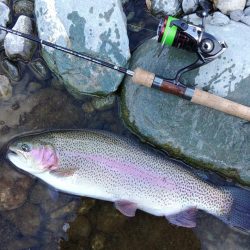 強風に苦戦 ～天竜川ルアーフライ専用区～